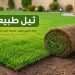 ثيل طبيعي
