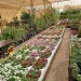 مشاتل شمال الرياض