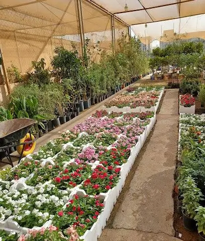 مشاتل شمال الرياض: 7 نصائح لاختيار الأفضل